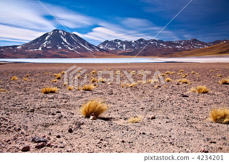 altiplano lagoon Miscanti close to cerro Miscanti, Chile altiplano lagoon Miscanti close to cerro Miscanti, Chile 4234201