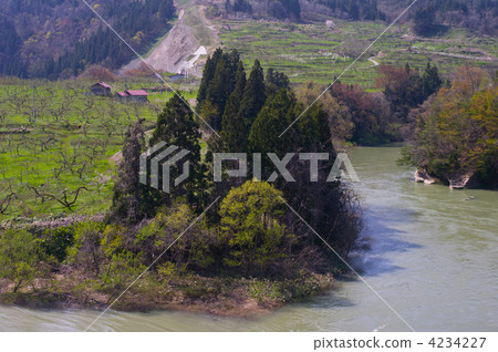 Apple farm Apple farm 4234227