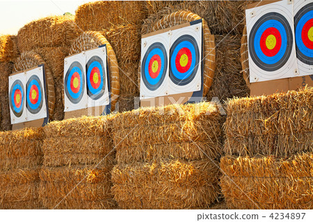 bow targets in a row bow targets in a row 4234897