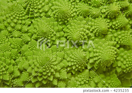 cabbage romanesco background 4235235