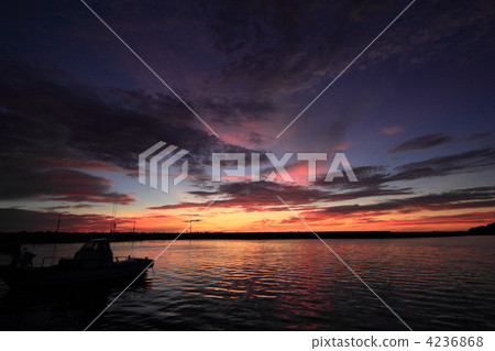 Morning glow 4236868