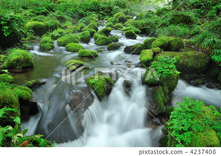 Kidanusawa Stream Kidanusawa Stream 4237408