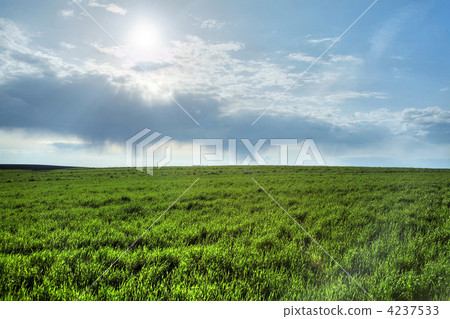 Green field Green field 4237533