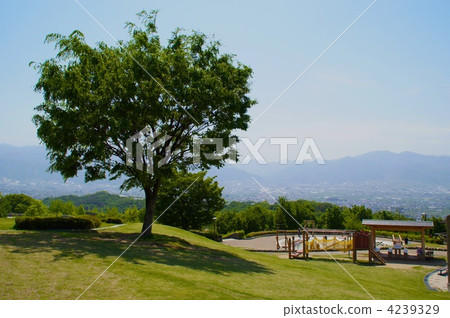 笛吹河水果園 運動項目 運動 4239329