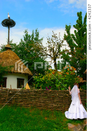 bride at wattle fence 4241337