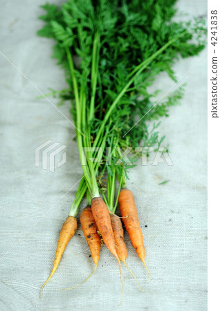 Carrots Carrots 4241838