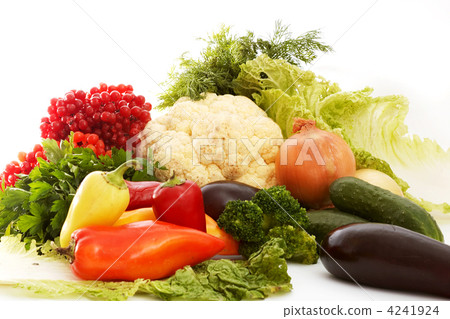 Cabbage Cabbage 4241924
