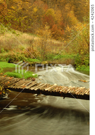 Footbridge Footbridge 4242065