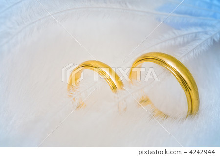 golden wedding rings in feathers 4242944