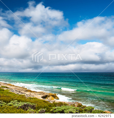 eastern coast of the Isla Contoy, Mexico eastern coast of the Isla Contoy, Mexico 4242971