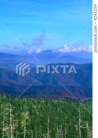 Great Smoky Mountains, USA 4243254