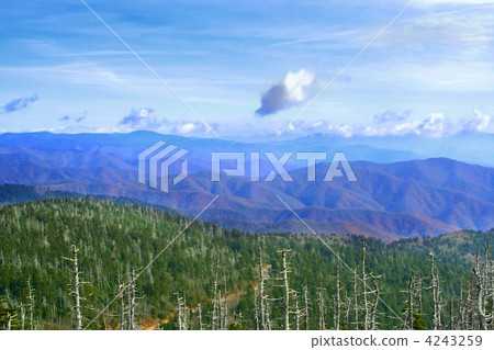 Great Smoky Mountains, USA 4243259