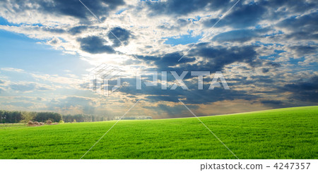 Sunset over green crops Sunset over green crops 4247357