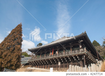 Todaiji Temple Februando和Rougae雪松 4247714