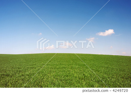 Blue over green 4249720