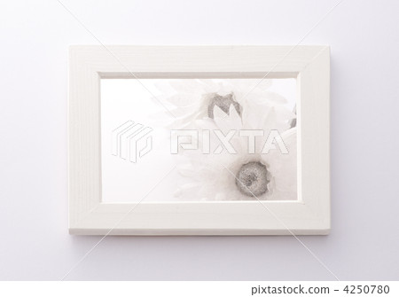 White image 4250780