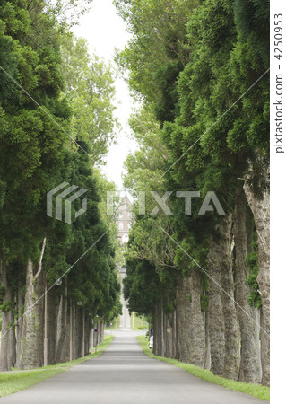  Trappist monastery 4250953