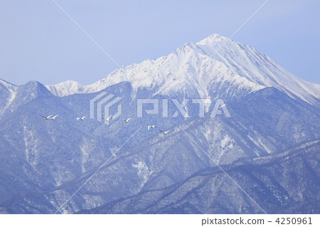 雪山 北阿爾卑斯 常念岳 4250961