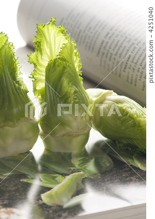 brassica juncea, vegetables, vegetable 4251040