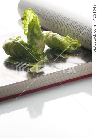 油菜花 新鮮蔬菜 新蔬菜 4251045