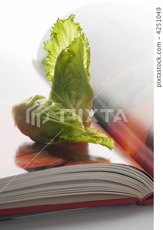 brassica juncea, vegetables, vegetable 4251049