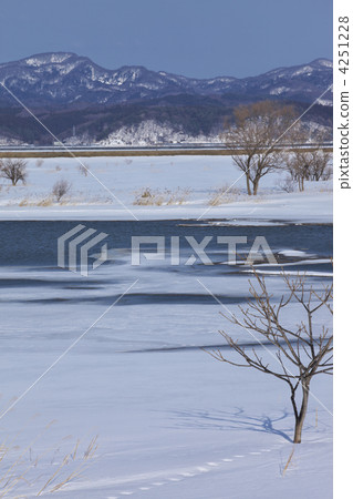 青森敦賀市Iwakigawa 4251228