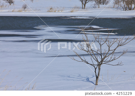 青森敦賀市Iwakigawa 4251229