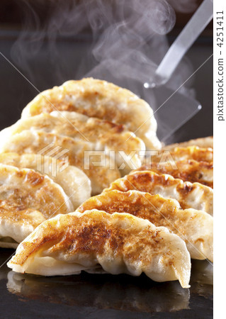 Pan-fried gyoza Pan-fried gyoza 4251411