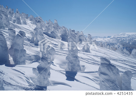 八甲田滑雪 4251435