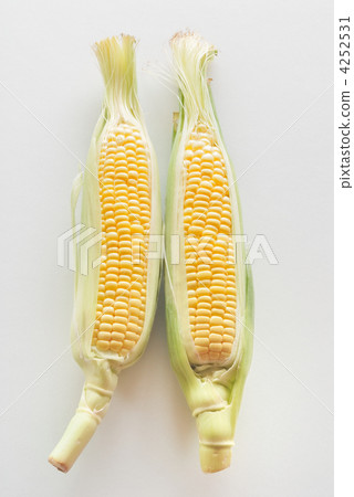 玉米 玉米 4252531