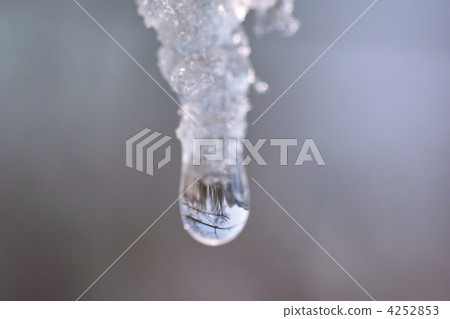 Drop of icicles 4252853