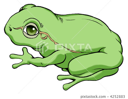 A frog 4252883