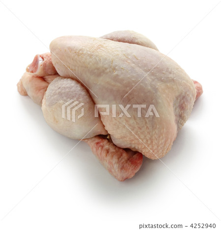 Poussin 4252940