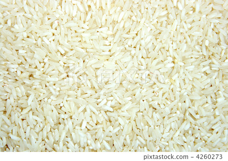 texture of rice grains 4260273