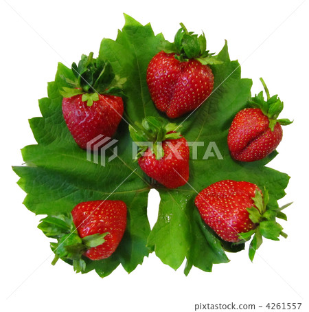 Ripe strawberries with green leaves 4261557