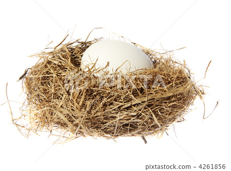 Birds nest with eggs Birds nest with eggs 4261856