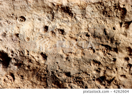 Texture agaric macro, mushroom 4262604