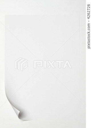 Curled paper 4262726