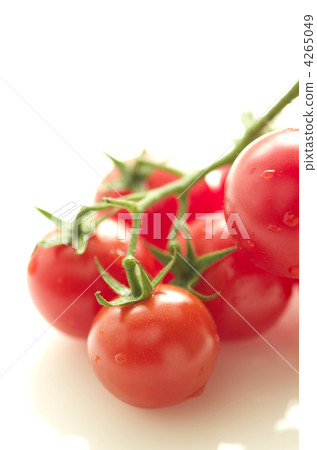Branched tomato 4265049