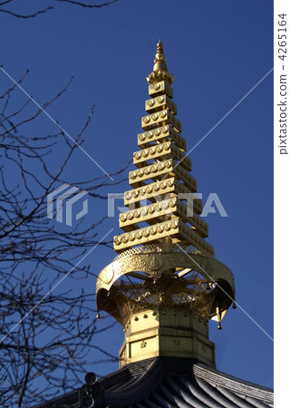 isshin-ji temple, nature, natural 4265164