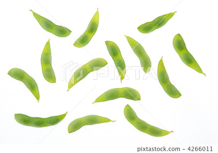 毛豆（白背） 4266011