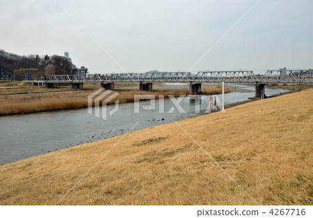 在流經城市的Watarase河上步行ashikaga橋 4267716