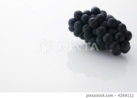 葡萄 葡萄 4269112