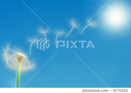 illustration of dandelion flying seeds 4270383