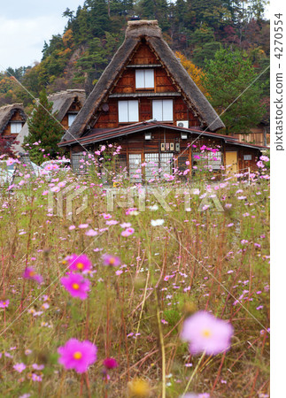 Houses in historic village Shirakawa-go, Gifu prefecture, Japan 4270554