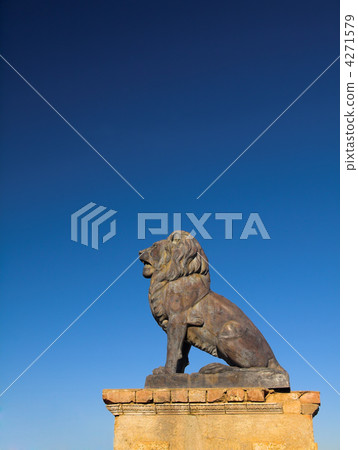 lion 4271579