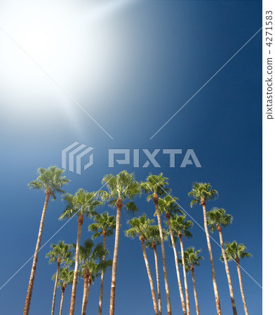 palms on blue background palms on blue background 4271583