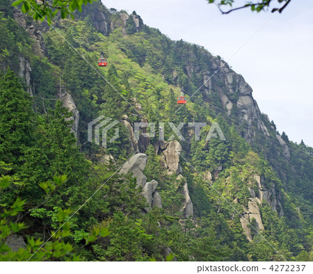 Gondola going fresh green 4272237