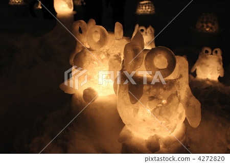 貓頭鷹 貓頭鷹 4272820