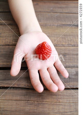 An elementary school student's palm holding a strawberry An elementary school student's palm holding a strawberry 4272859